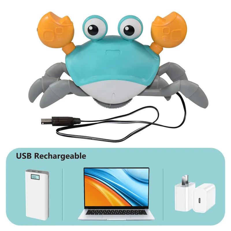 Montessori Musical Crab