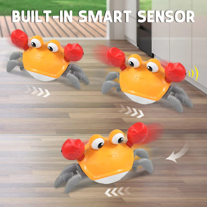 Montessori Musical Crab