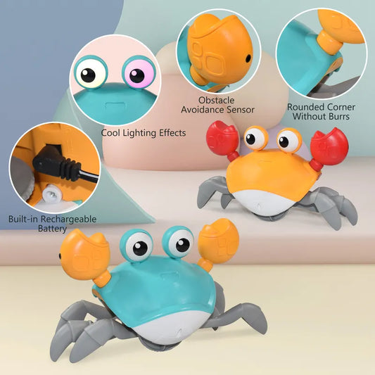 Montessori Musical Crab